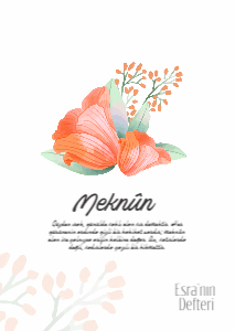 Kişiye Özel Hediyelik Defter Tasarım Şablonu