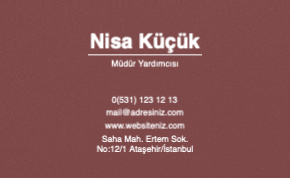 Kiremit Rengi Modern Kartvizit