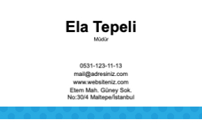 Mavi kurumsal Resmi Kartvizit 0076