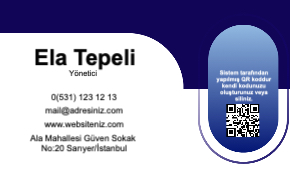 Mavi kurumsal Resmi Kartvizit 0091