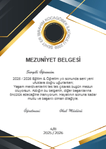 Sertifika Tasarımı A4