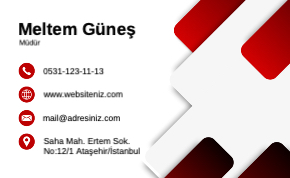 Kırmızı Kurumsal Çift Yönlü Kartvizit 0050