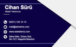 Mavi kurumsal Resmi Kartvizit 0095